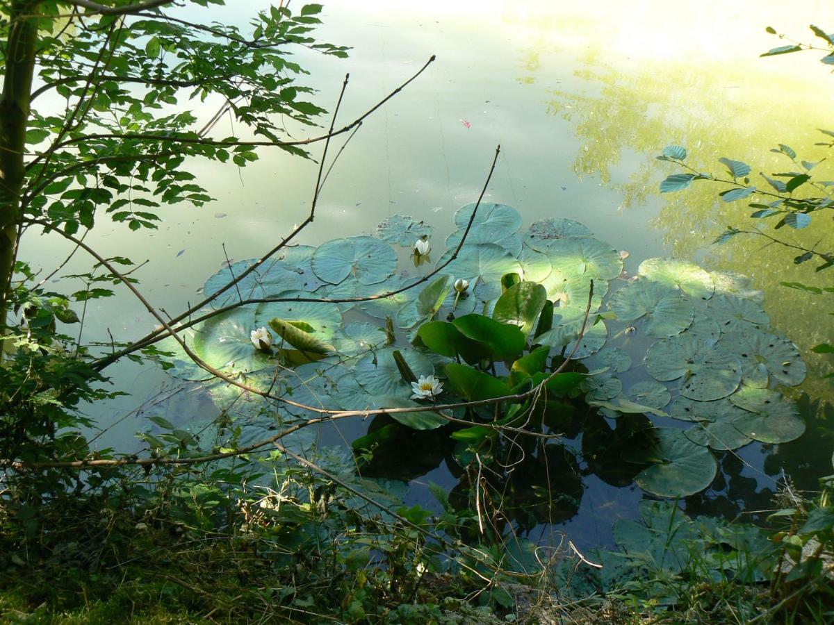 Sampigny La Maison De L'Etang المظهر الخارجي الصورة